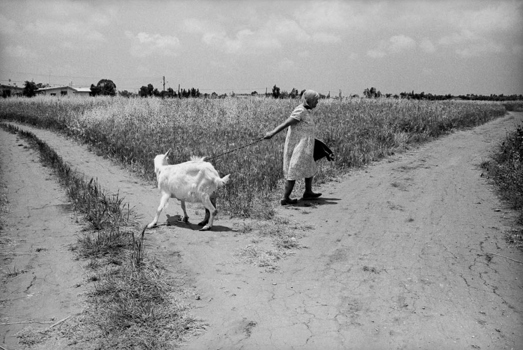 Crossroad. Yahud, 1967.
