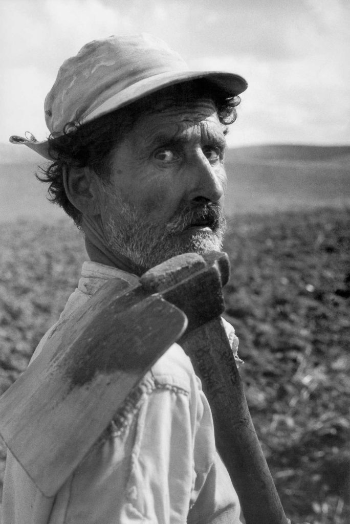 A North African immigrant working on a land clearing project. Lachish, 1958.