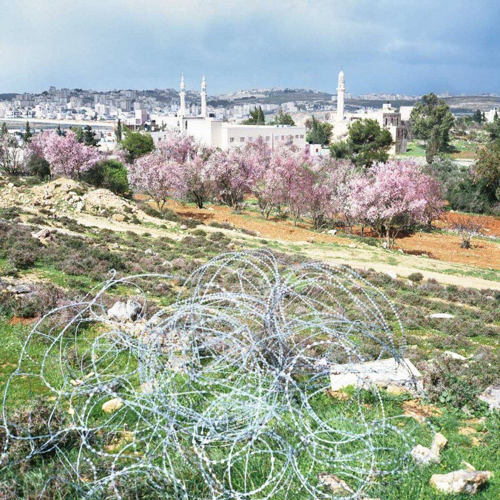 View of Ramallah. 2007.